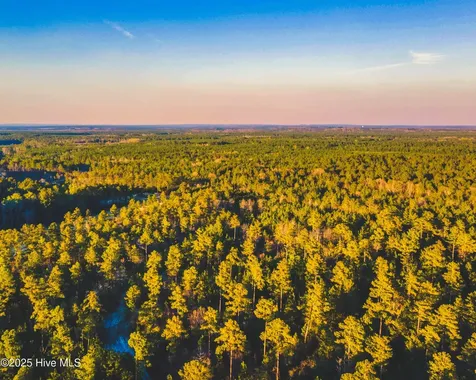Trt 9 Peach Orchard Road Wagram NC 28396