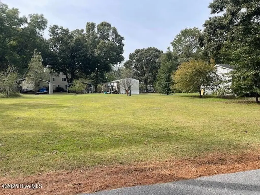18 & 19 King Blount Drive Bath NC 27808