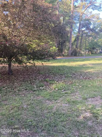 18 & 19 King Blount Drive Bath NC 27808