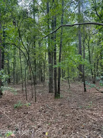 122 N State Lane Rockingham NC 28379