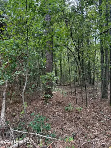 122 N State Lane Rockingham NC 28379