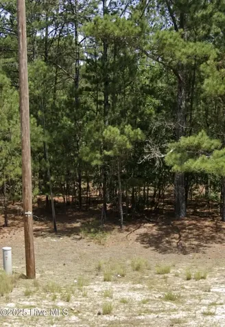 0 Center Baptist Church Road Jackson Springs NC 27281