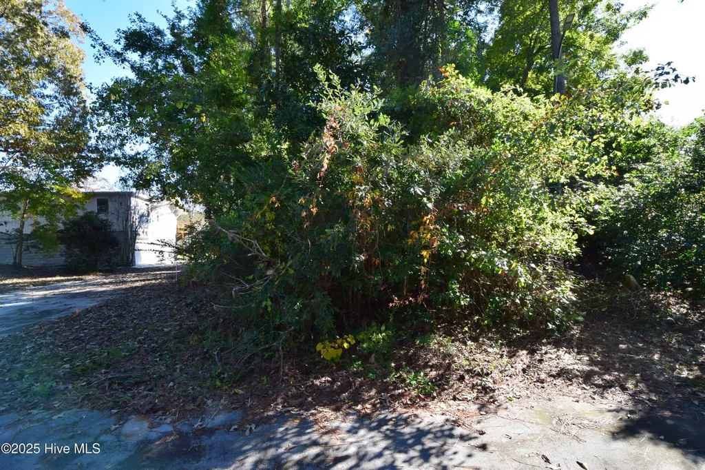 246 Shoreline Drive New Bern NC 28562