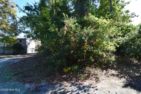 246 Shoreline Drive New Bern NC 28562