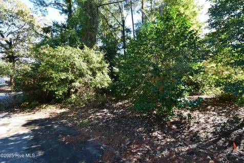 246 Shoreline Drive New Bern NC 28562