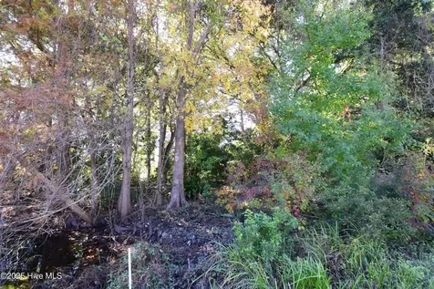 246 Shoreline Drive New Bern NC 28562