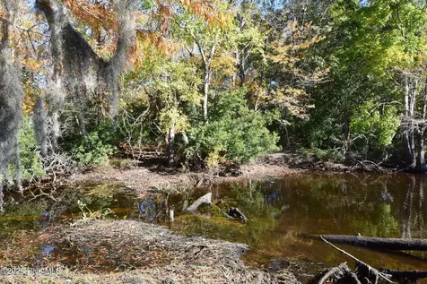 246 Shoreline Drive New Bern NC 28562