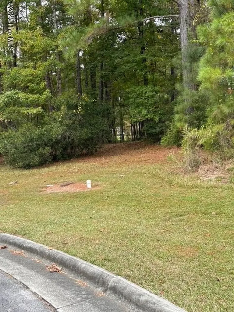 3808 Lichen Lane New Bern NC 28562