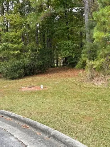 3808 Lichen Lane New Bern NC 28562