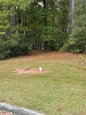 3808 Lichen Lane New Bern NC 28562
