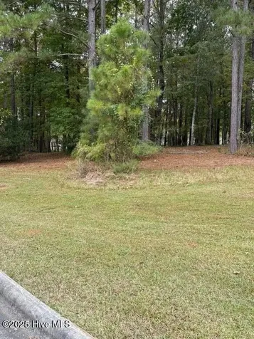 3808 Lichen Lane New Bern NC 28562