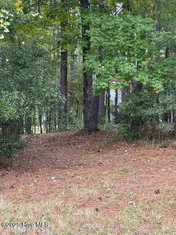 3808 Lichen Lane New Bern NC 28562