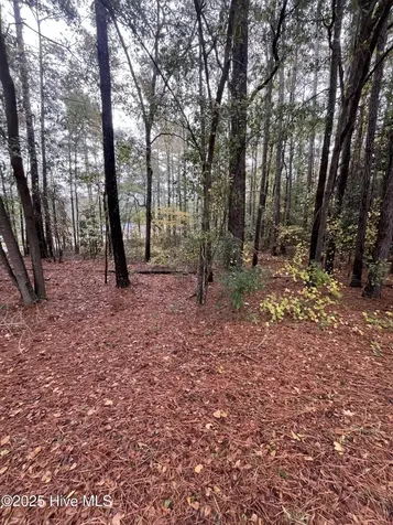 124 Medical Circle Rockingham NC 28379