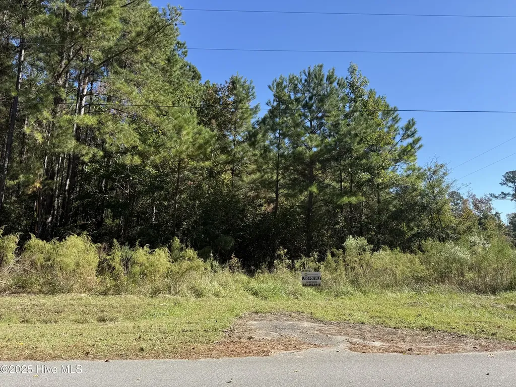 Tbd Tharpe Road Little River SC 29566