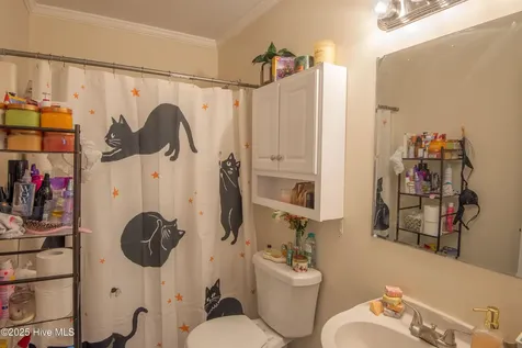 4204 Carybrook Road Rocky Mount NC 27803