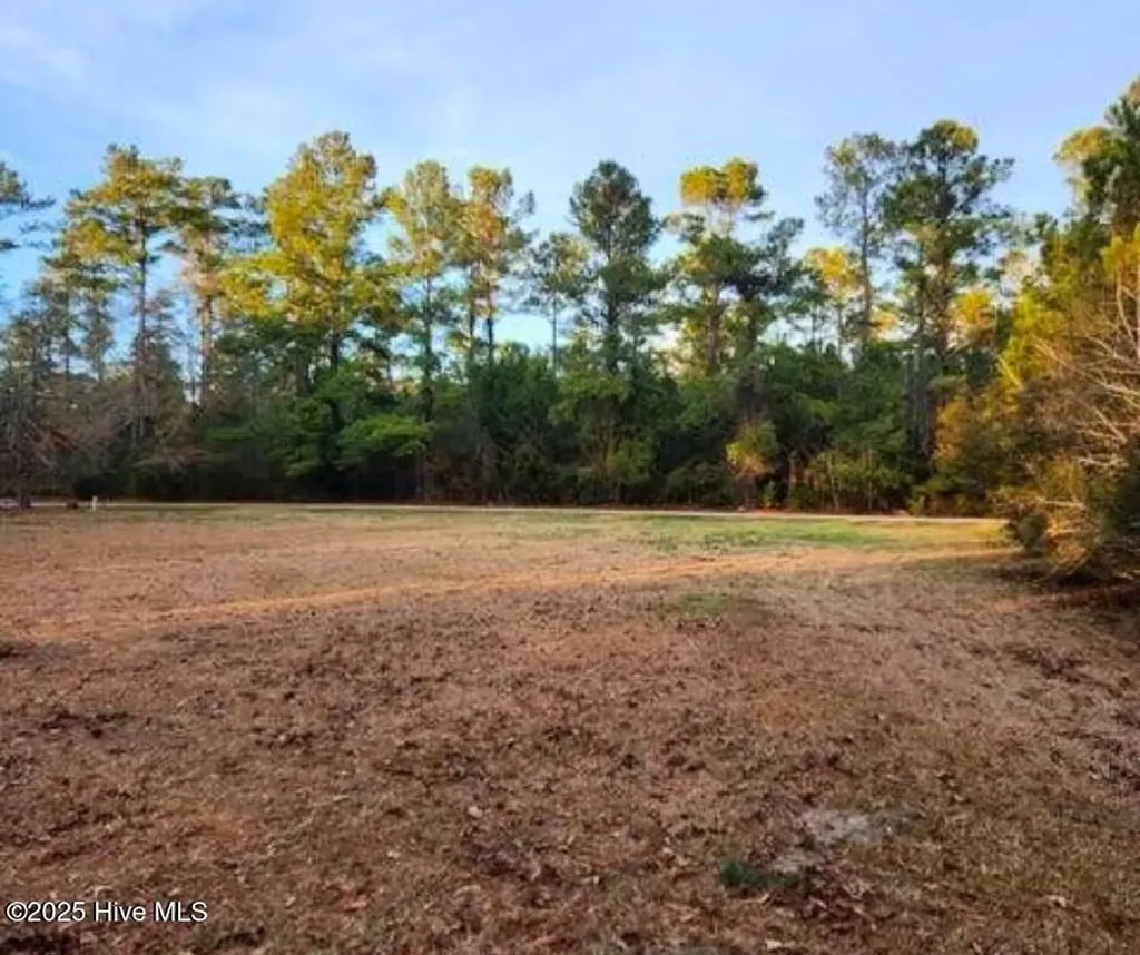 200 Hickory Street Oriental NC 28571