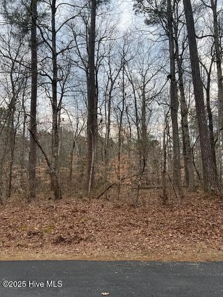00 Dogwood Drive Hertford NC 27944