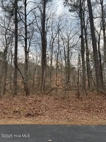 00 Dogwood Drive Hertford NC 27944