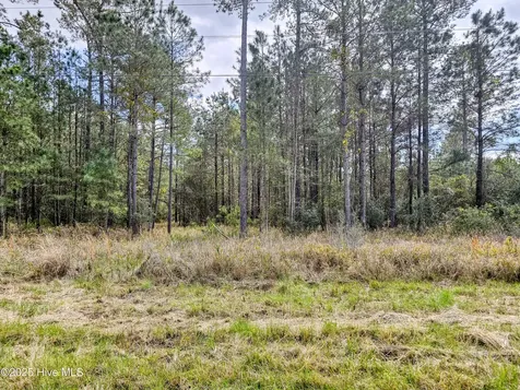 20 Sandy Point Road Scranton NC 27875