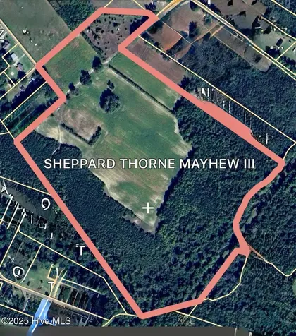 203 Lovick Lane Washington NC 27889