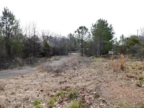 10781 Gibson Road Laurel Hill NC 28351