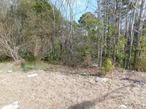 10781 Gibson Road Laurel Hill NC 28351