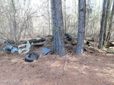 10781 Gibson Road Laurel Hill NC 28351