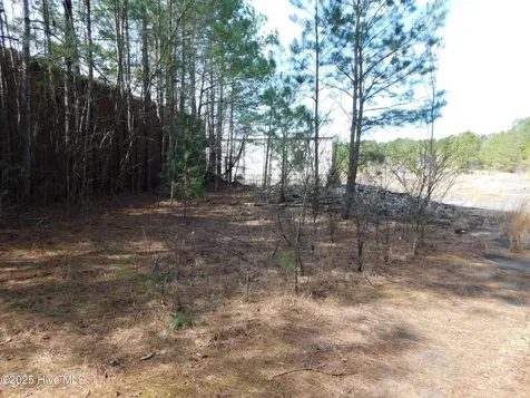 10781 Gibson Road Laurel Hill NC 28351