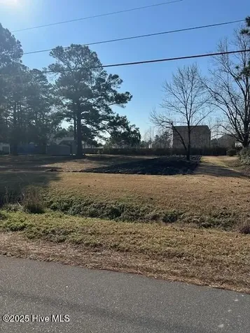 164 Horne Place Drive Wilmington NC 28401