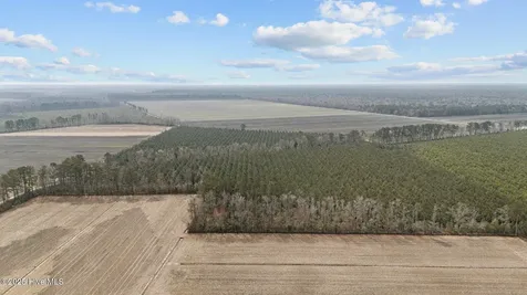 0 Neals Creek Road Bayboro NC 28515