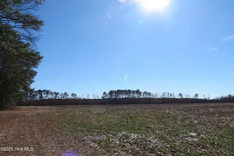 0 Neals Creek Road Bayboro NC 28515