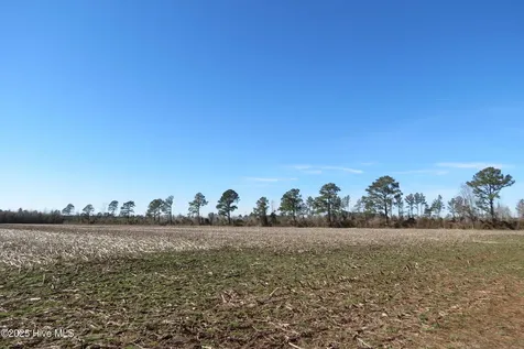 0 Neals Creek Road Bayboro NC 28515