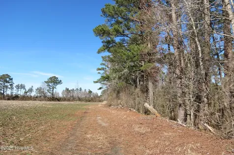 0 Neals Creek Road Bayboro NC 28515
