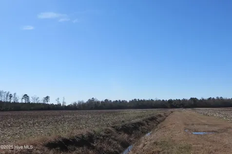 0 Neals Creek Road Bayboro NC 28515