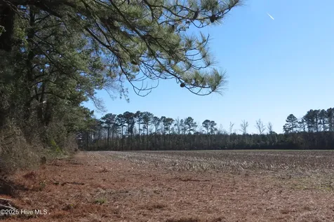 0 Neals Creek Road Bayboro NC 28515
