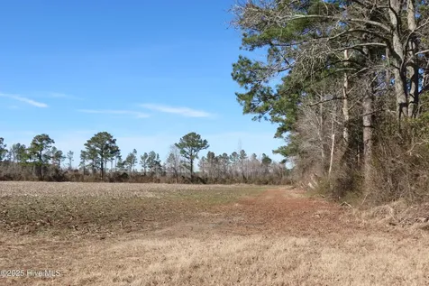 0 Neals Creek Road Bayboro NC 28515