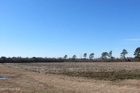 0 Neals Creek Road Bayboro NC 28515