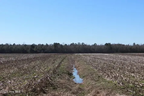 0 Neals Creek Road Bayboro NC 28515