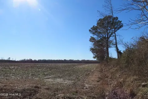 0 Neals Creek Road Bayboro NC 28515