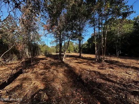 110 Brandon Avenue Hubert NC 28539