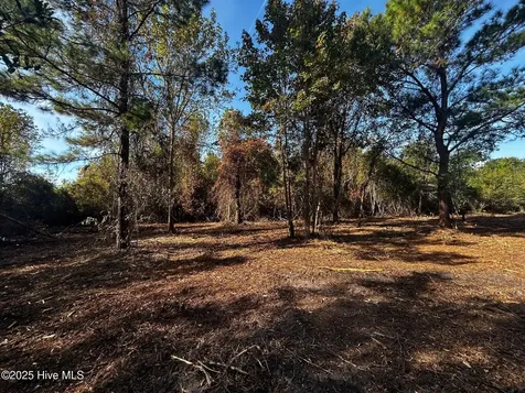 110 Brandon Avenue Hubert NC 28539
