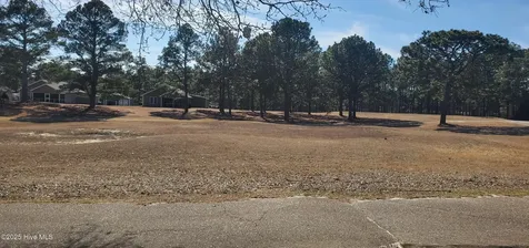234 Persimmon Drive Pinebluff NC 28373