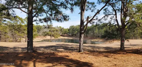 234 Persimmon Drive Pinebluff NC 28373