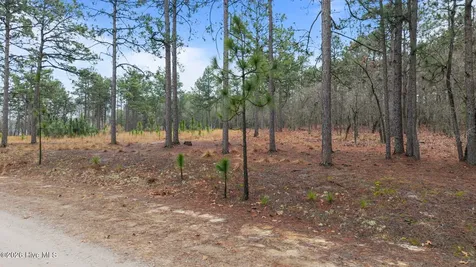Tbd Forest Ridge Lane Jackson Springs NC 27281