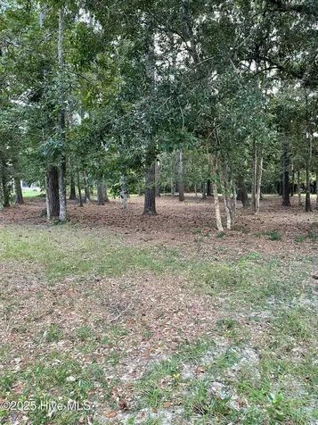 41 Oyster Pointe Drive Sunset Beach NC 28468