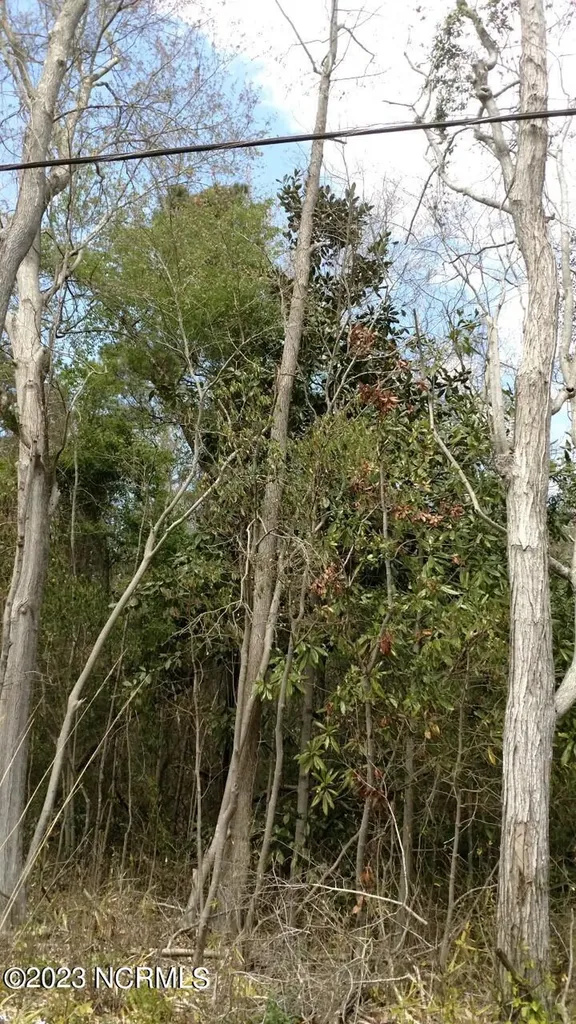 00 Pennsylvania Avenue Rocky Point NC 28457