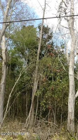 00 Pennsylvania Avenue Rocky Point NC 28457