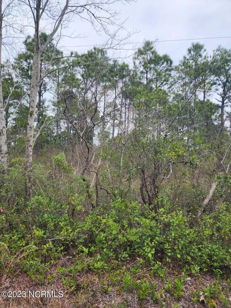 Lot 8 Pennsylvania Avenue Rocky Point NC 28457