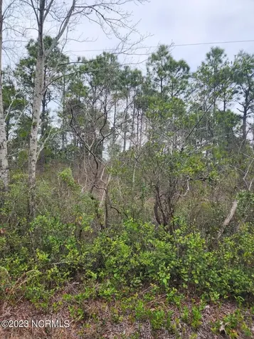 Lot 8 Pennsylvania Avenue Rocky Point NC 28457