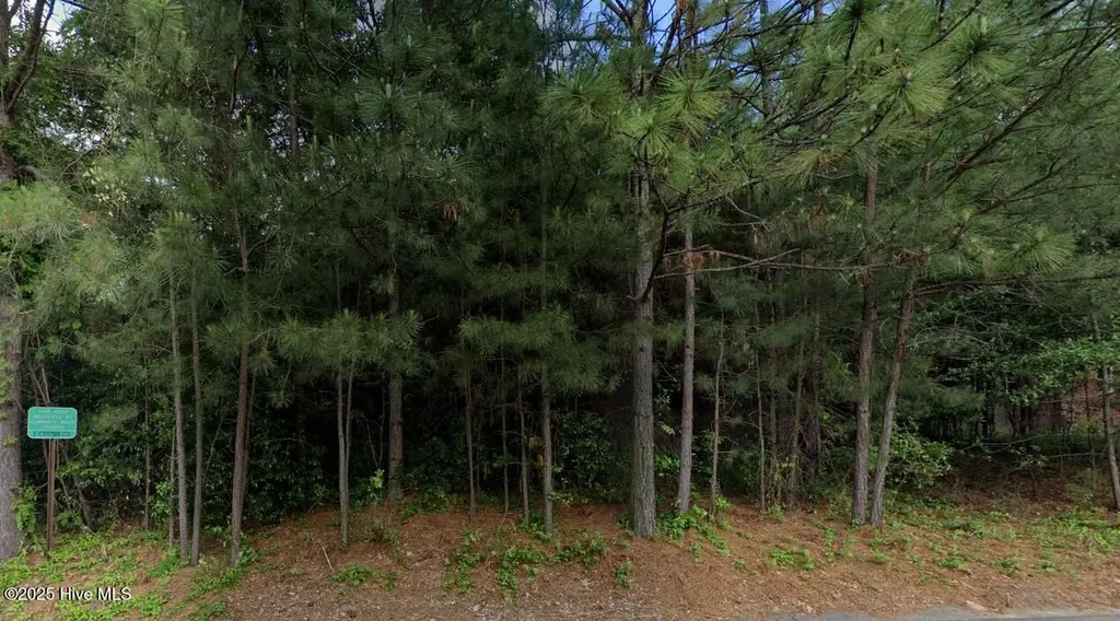 871 W Lowe Avenue Southern Pines NC 28387
